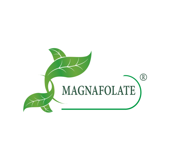 Magnafolate® nədir? Folat VS Fol turşusu, Fərqi Nədir?