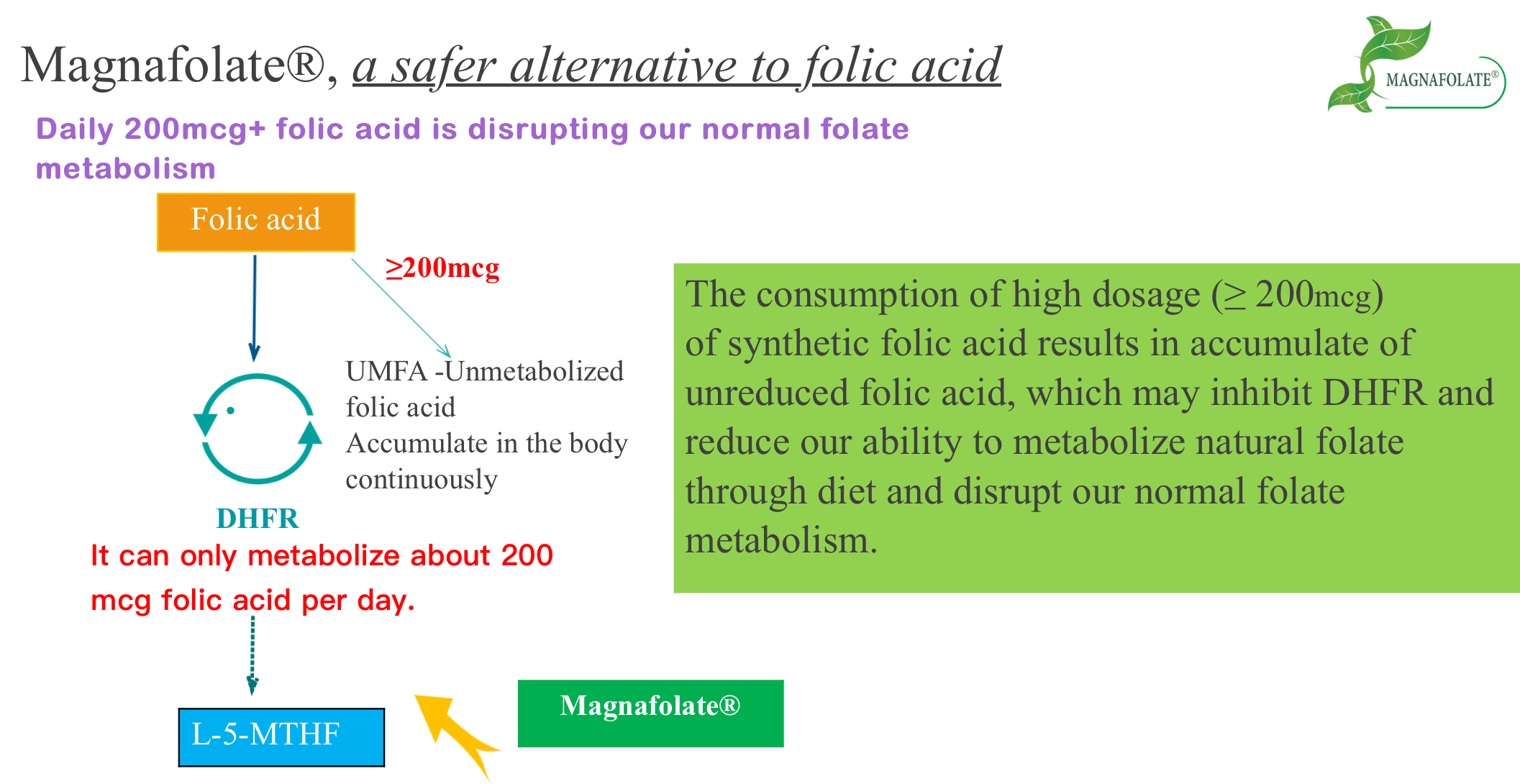 Magnafolate, Fol turşusuna daha təhlükəsiz alternativ