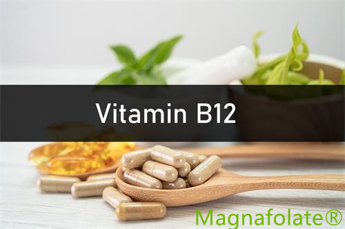 Vitamin B12: Giriş, Fayda, Sağlamlıq