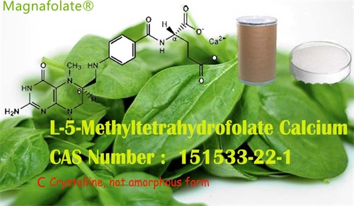 L-5-Metiltetrahidrofolat və fol turşusu eynidirmi?