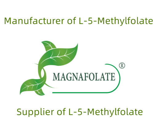 L-MethylFolate xammal istehsalçısı