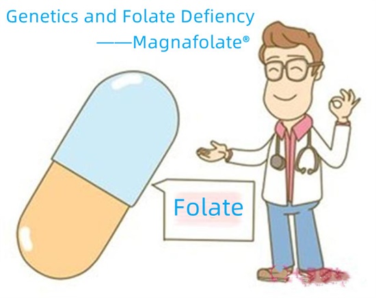 Genetika və fol turşusu çatışmazlığı-Magnafolate