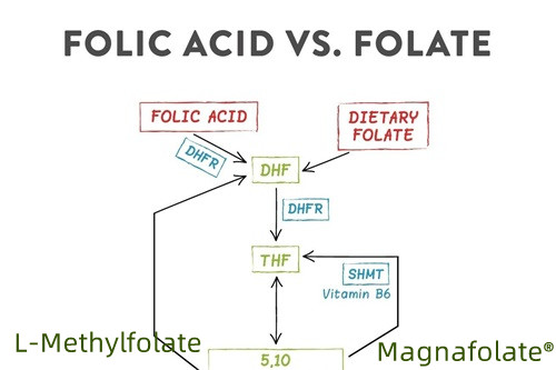 Folatın ən yaxşı forması hansıdır?