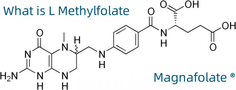 L Metilfolat nədir?