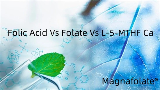 Fol turşusu Vs Folat Vs L-5-MTHF Ca