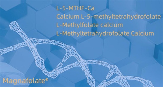 Kalsium L-5-metiltetrahidrofolat Cas151533-22-1