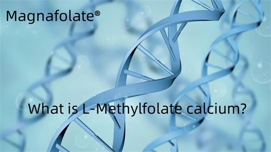 L-Metilfolat kalsium nədir?