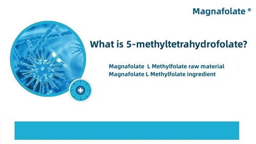 5-metiltetrahidrofolat nədir?