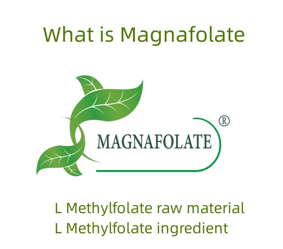 Magnafolate nədir?