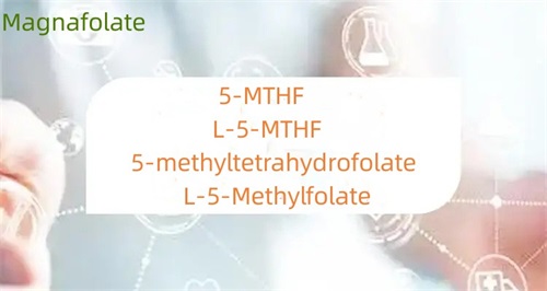 5-metiltetrahidrofolat və folat arasındakı fərq nədir?