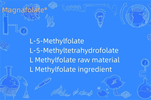 L Methylfolate nə edir?