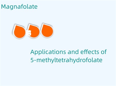 5-metiltetrahidrofolatın tətbiqi və təsiri