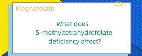 5-metiltetrahidrofolat çatışmazlığı nəyə təsir edir?