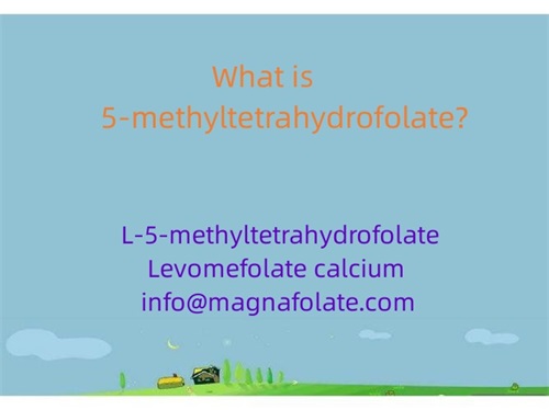 5-metiltetrahidrofolat nədir?