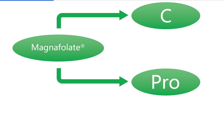 Magnafolate C və Pro-L-Methylfolate Kalsium