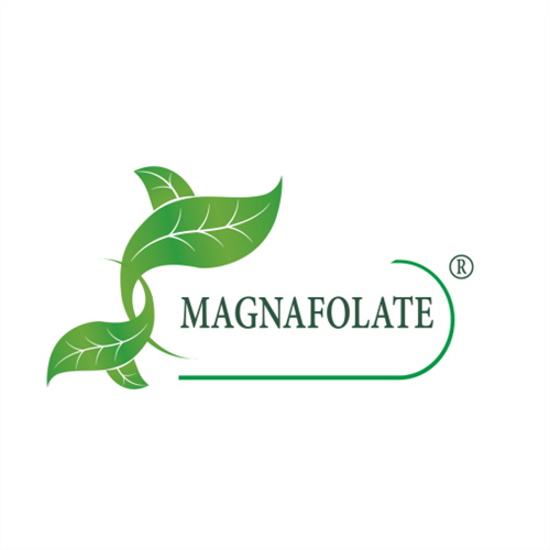 Magnafolate qeydiyyatı