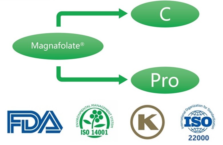 Kalsium L-5-metiltetrahidrofolat nədir? Təchizatçılar hansılardır?